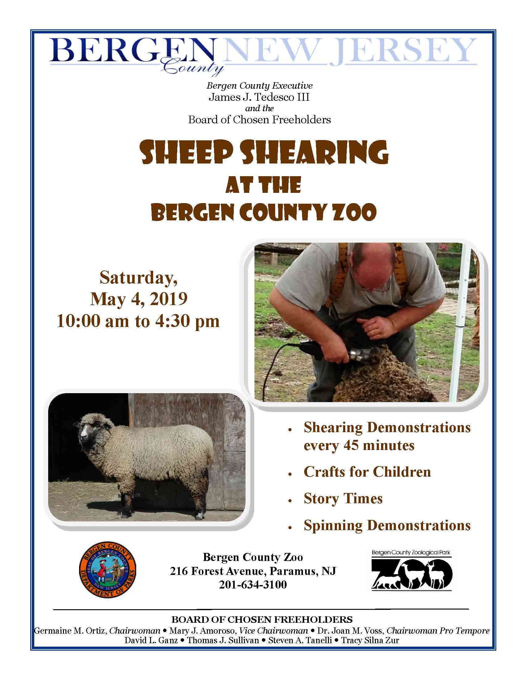 Sheep shearing May 4 2019