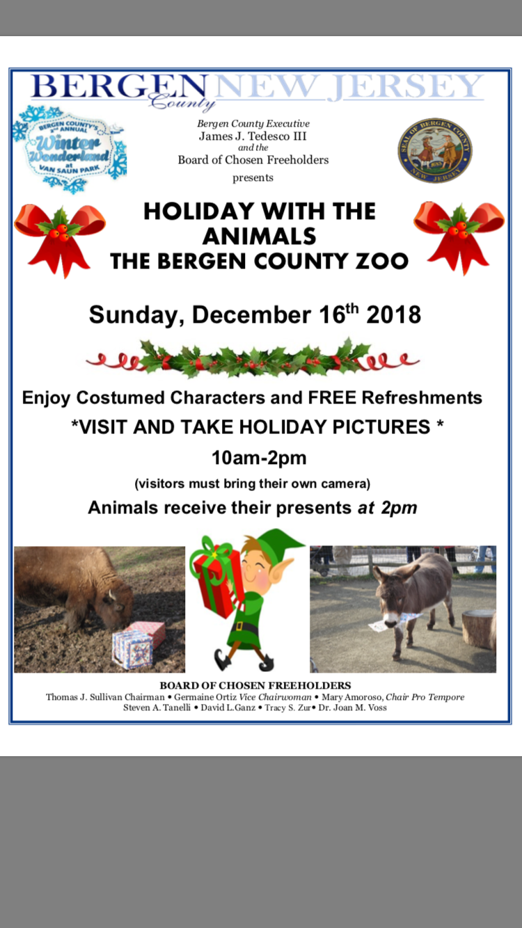 Holiday with the Animals flyer new
