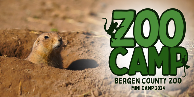 Bergen County Zoo Mini Camp 2024