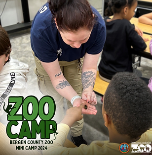 Bergen County Zoo Mini Camp 2024
